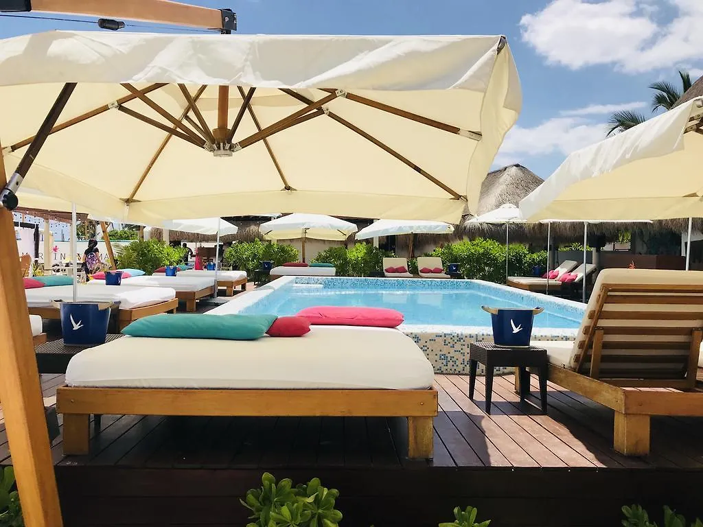 Aquamarina Suites Плая-дель-Кармен Апарт-отель